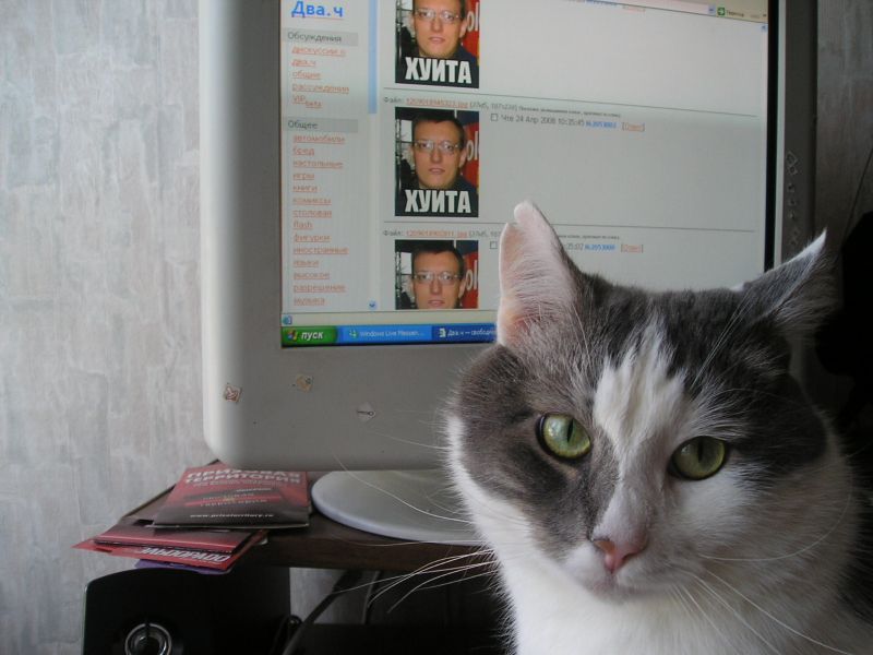 Файл:ХУИТА with cat.jpg