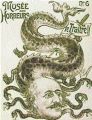 «Предатель гидра-Дрейфус». Антисемитская каррикатура, 1894