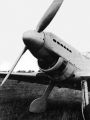 Ранний прототип, с расово неверным мотором и довольной лыбой Ju.87