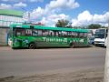И не только троллейбусы. Автобусы в Воронеже доставляют ничуть не меньше